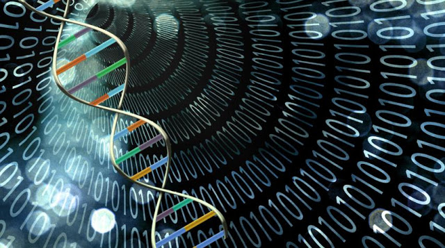 DNA Computers; A Revolution In Science And Technology