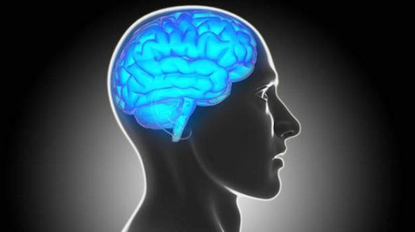 “Brain Training” App, Sharpens Memory