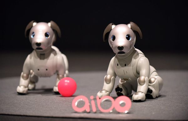 Sony Revives Robot Pet Dog