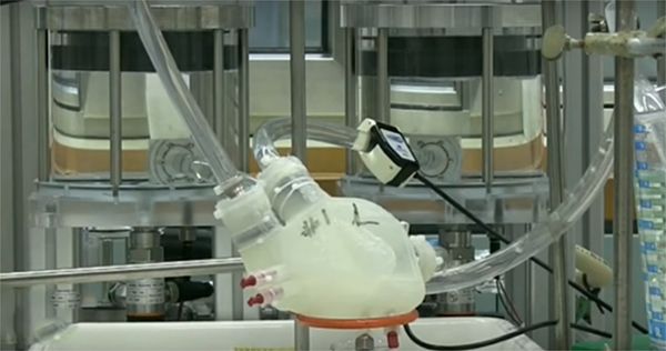 Scientists Develop Artificial Heart