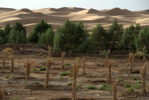 Solar Farms: To Turn Sahara Desert Green