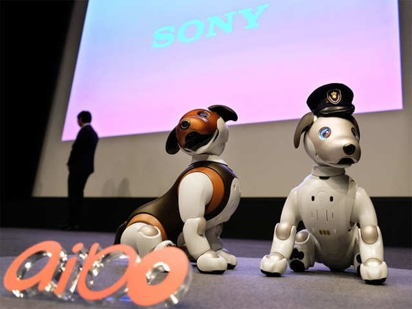 Robocop Dog Keep Check On Family Members And Pets